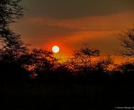 Západ slnka nad Serengeti