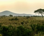 Príroda v Serengeti