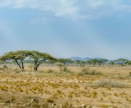 Panoráma Serengeti