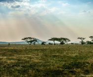 Slnečné lúče presvitajúce cez oblaky nad Serengeti