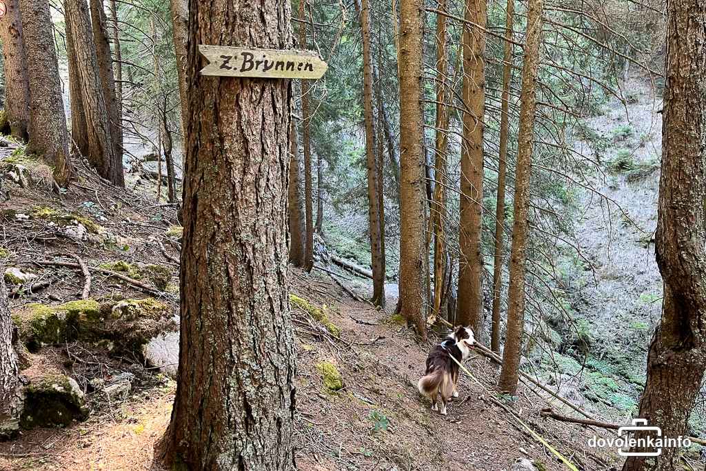 Odbočka k výdatnej studničke počas výstupu na Hochschwab. Nachádza sa pri lúke Trawiesalm.