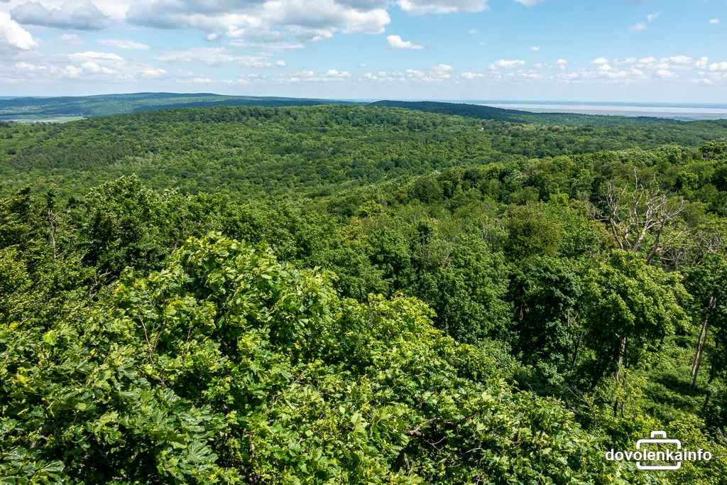 Výhľad na hrebeň Litavských vrchov (Leithagebirge).