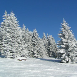 Zima na Slovensku - Rezervácia ubytovania na Slovensku