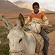 Chlapec na oslíkovi, Irán