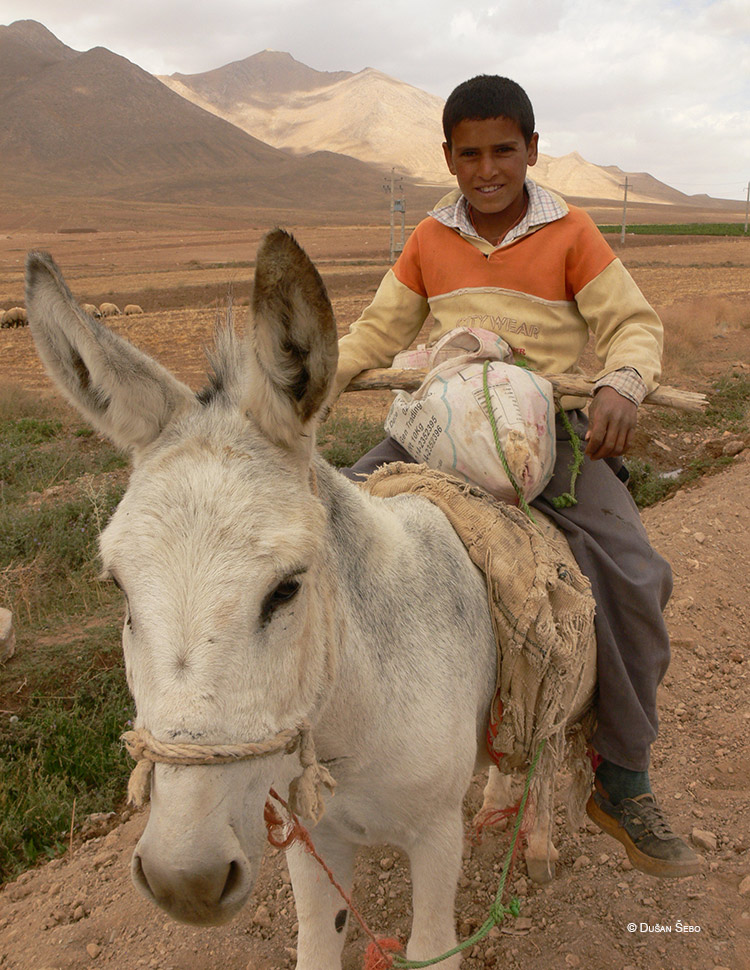 chlapec-na-oslikovi-iran-ds