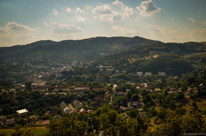 Unikátna Salamandra v Štiavnických vrchoch